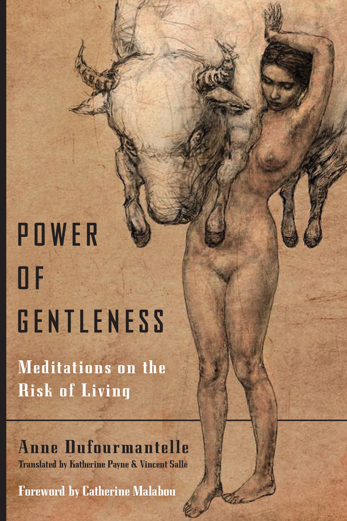Cover image for Power of Gentleness ISBN 9780823279609