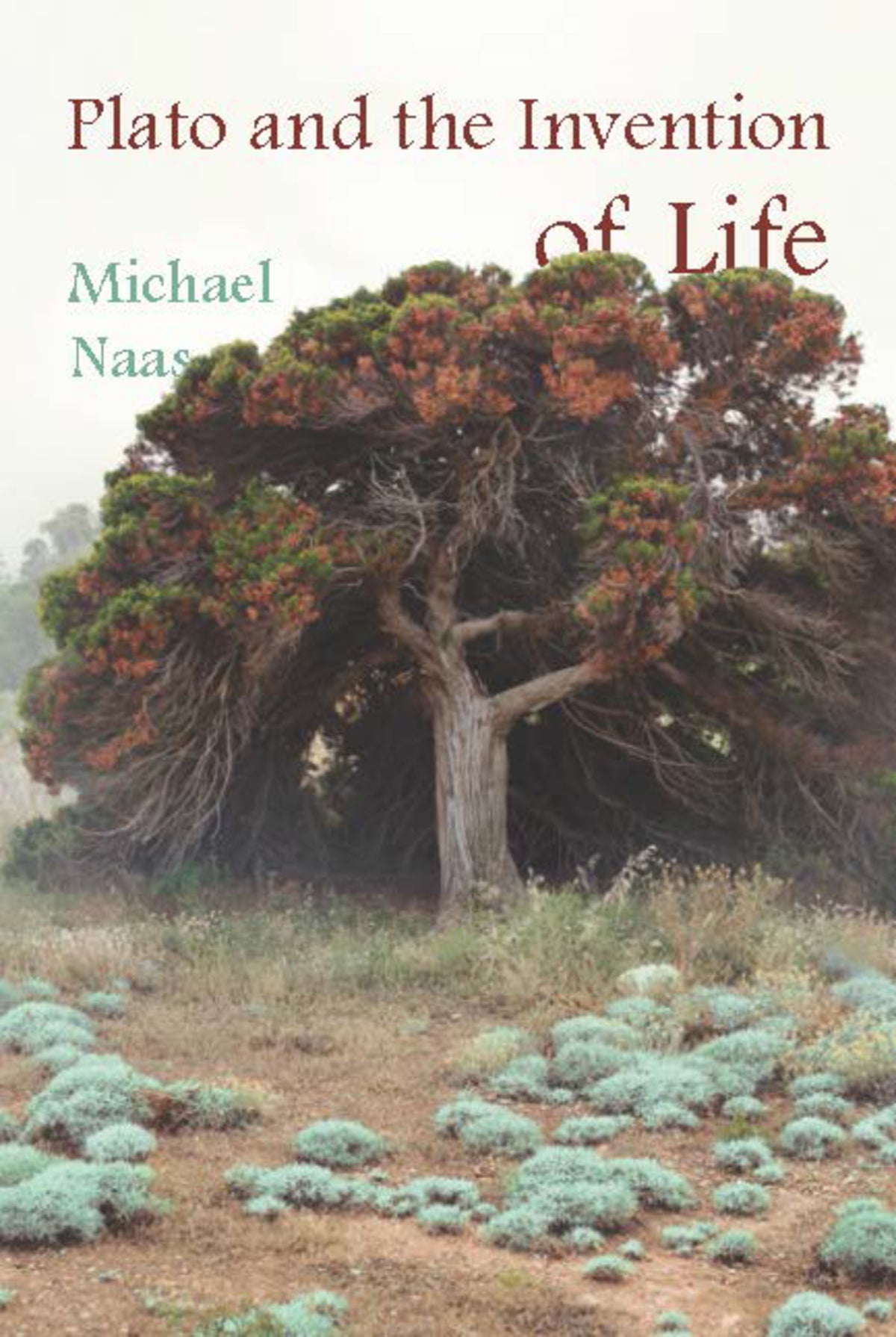 Cover image for Plato and the Invention of Life ISBN 9780823279685