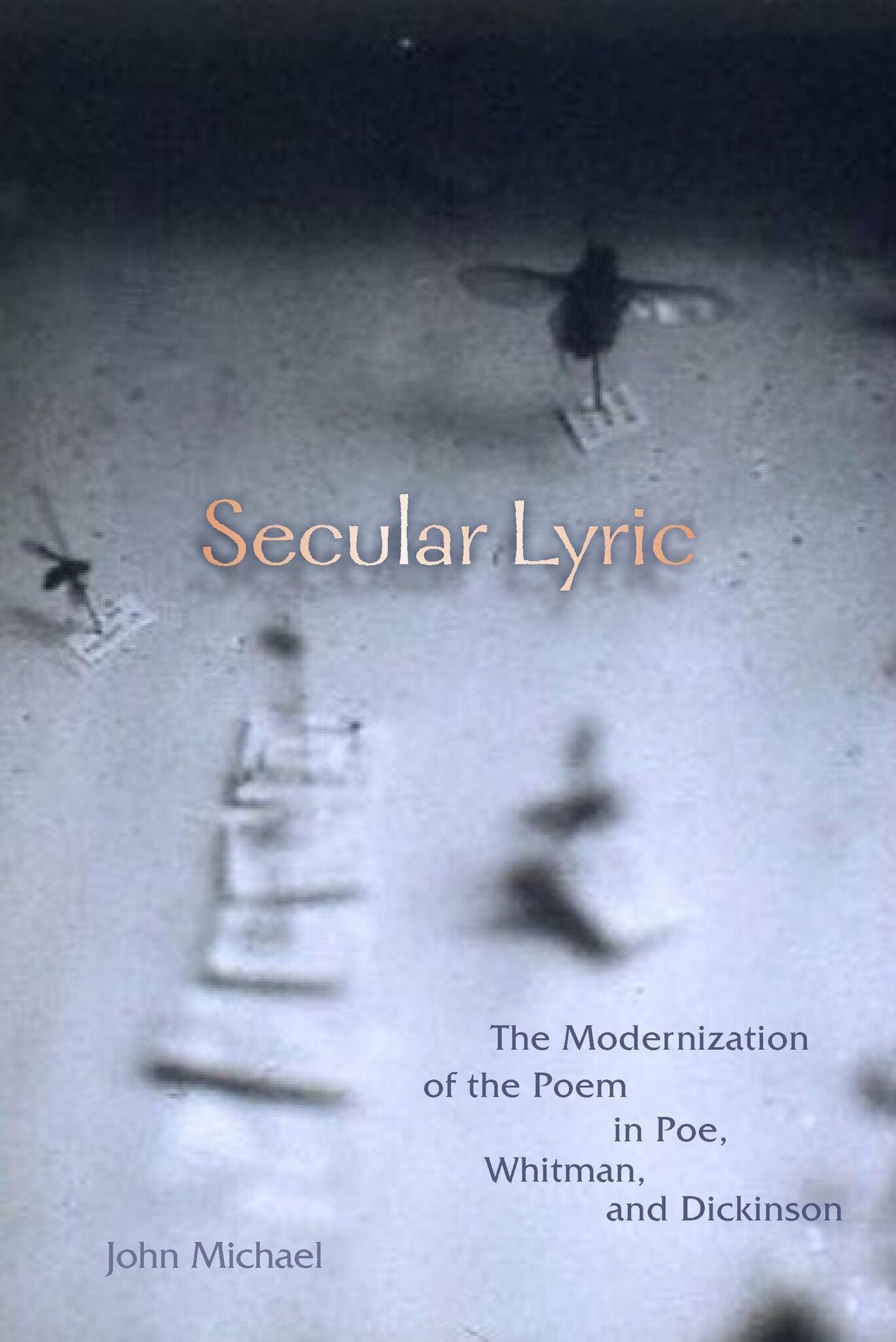 Cover image for Secular Lyric ISBN 9780823279715