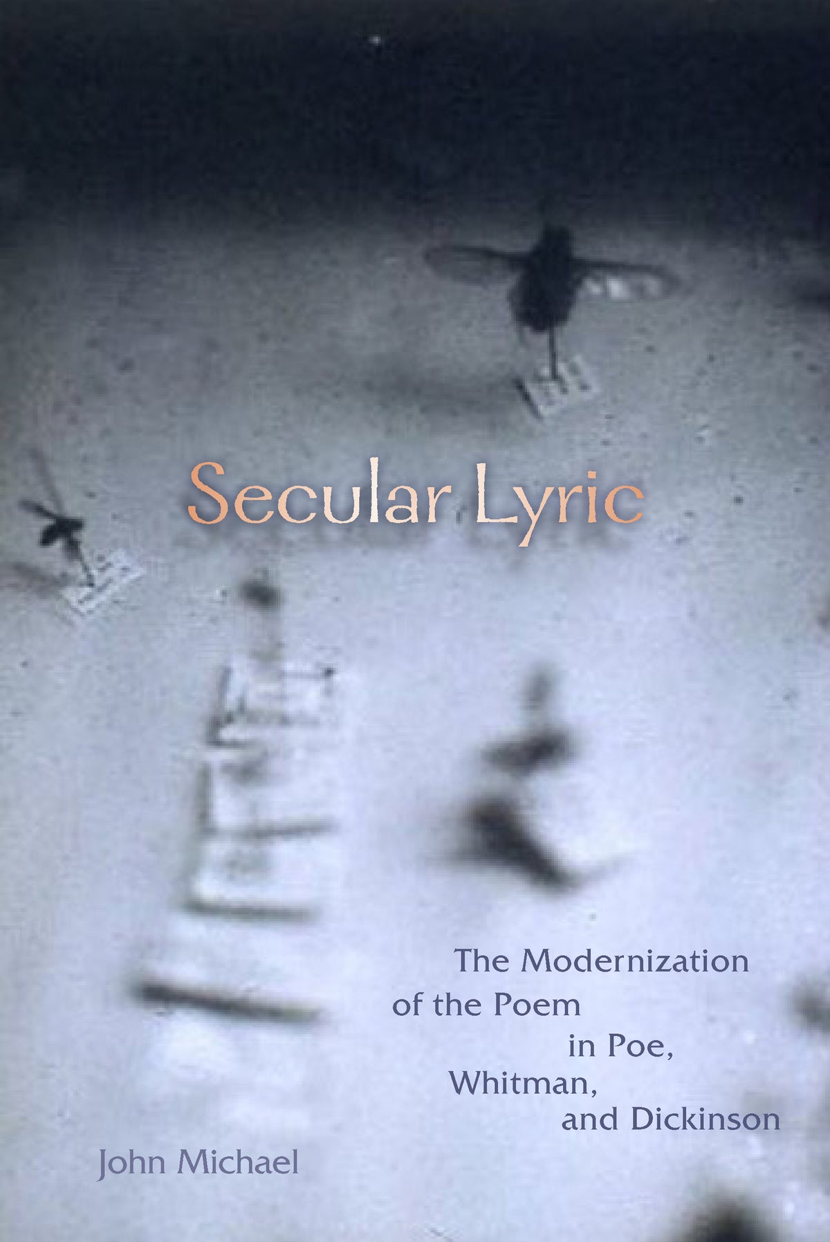 Cover image for Secular Lyric ISBN 9780823279722