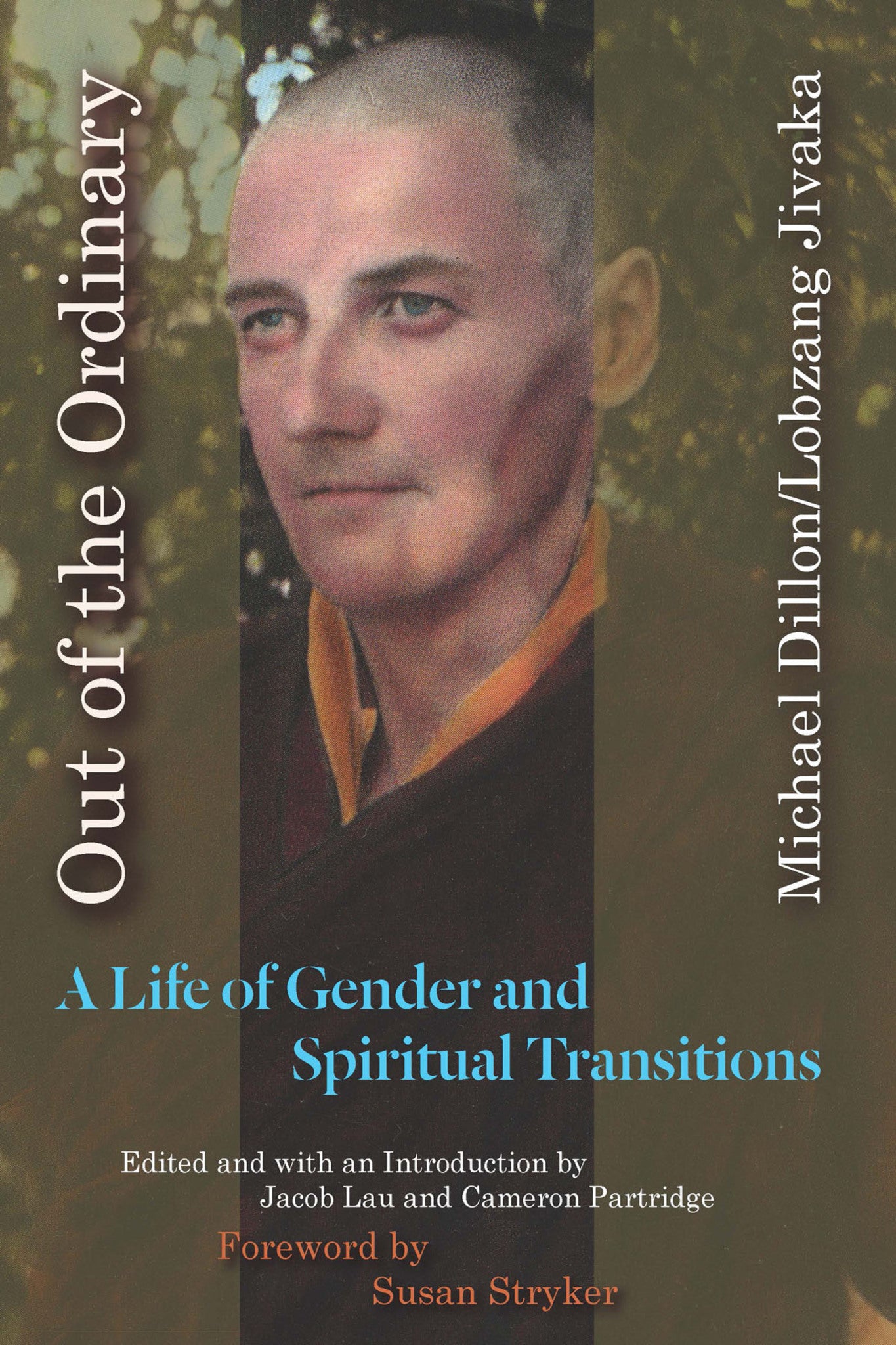 Cover image for Out of the Ordinary ISBN 9780823280391