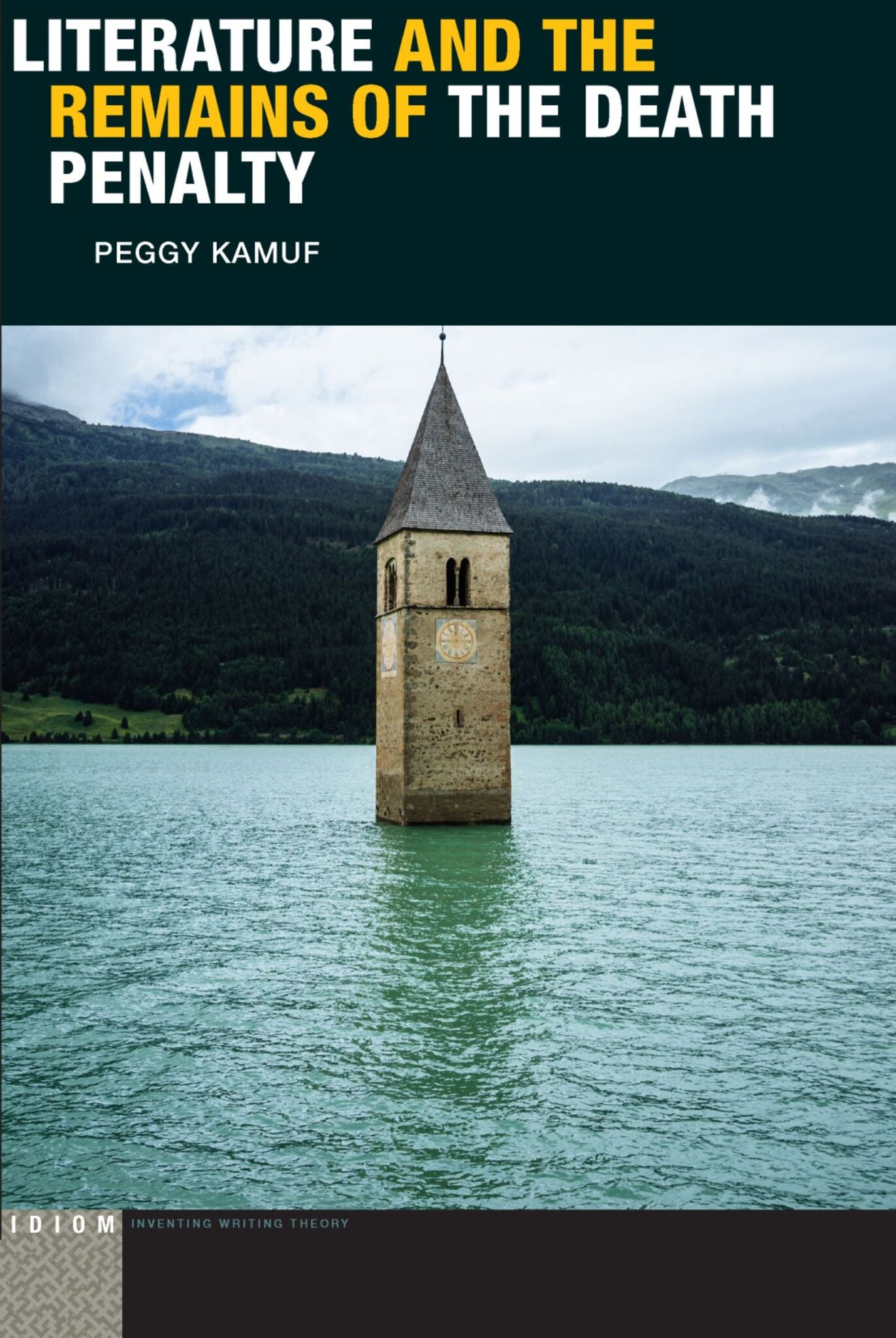 Cover image for Literature and the Remains of the Death Penalty ISBN 9780823282302