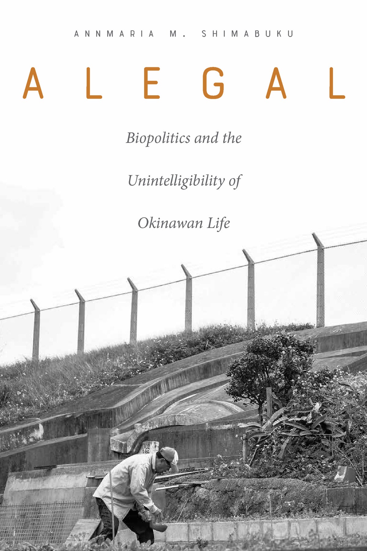 Cover image for Alegal ISBN 9780823282654