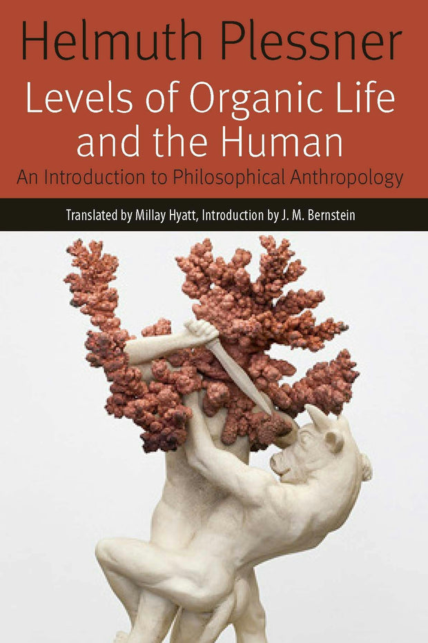 Cover image for Levels of Organic Life and the Human, isbn: 9780823283996