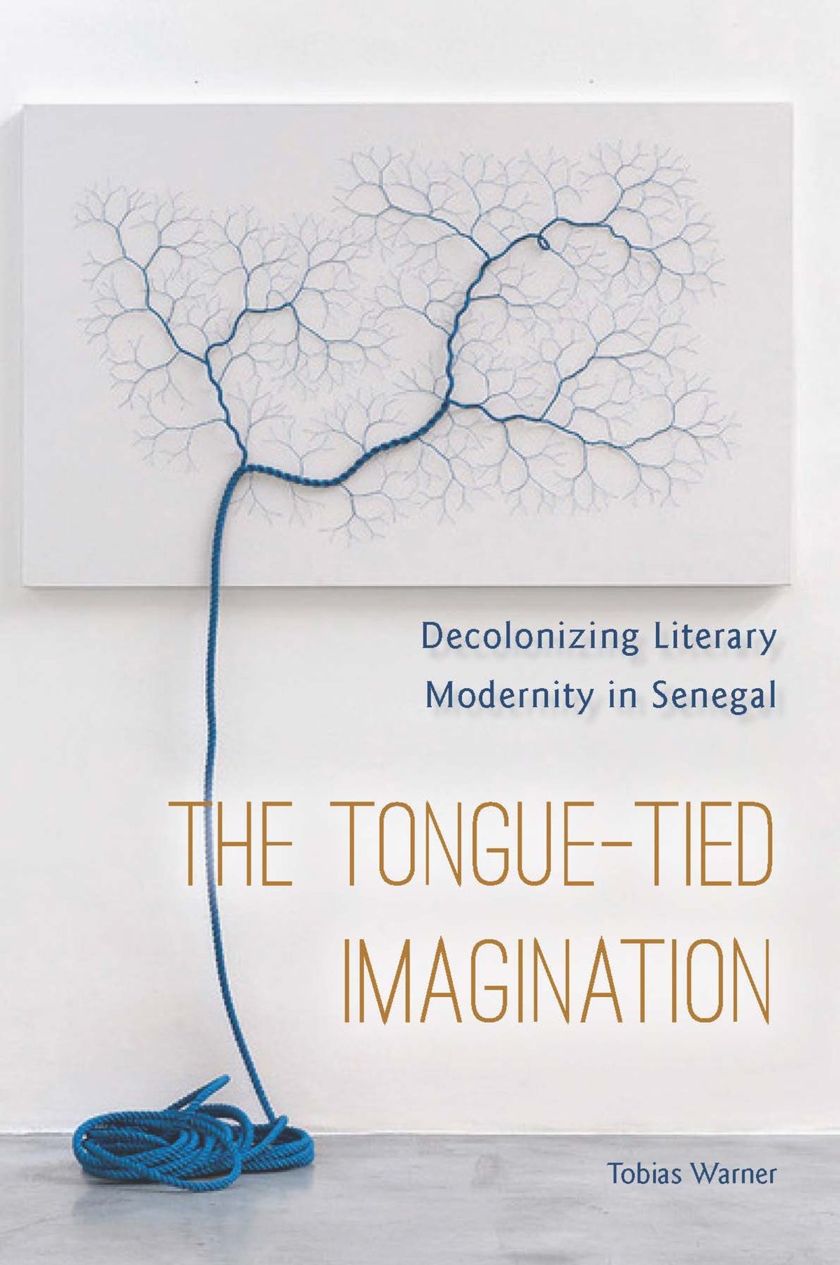 Cover image for The Tongue-Tied Imagination ISBN 9780823284290