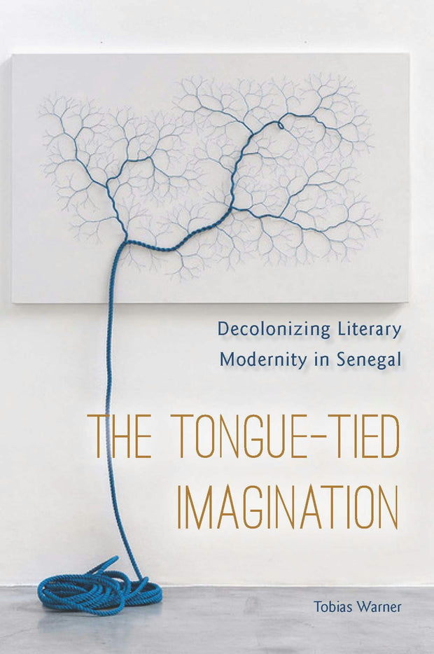 Cover image for The Tongue-Tied Imagination, isbn: 9780823284634