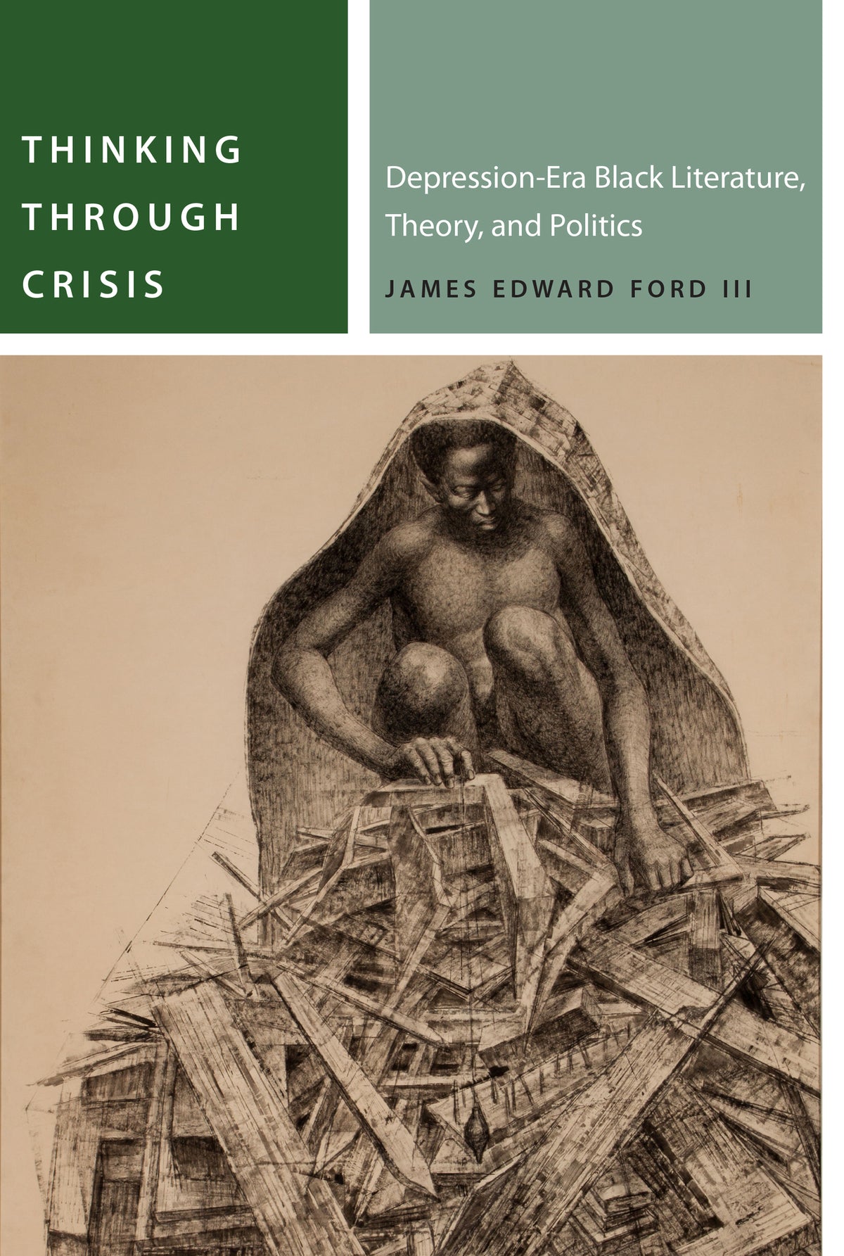 Cover image for Thinking Through Crisis ISBN 9780823286911