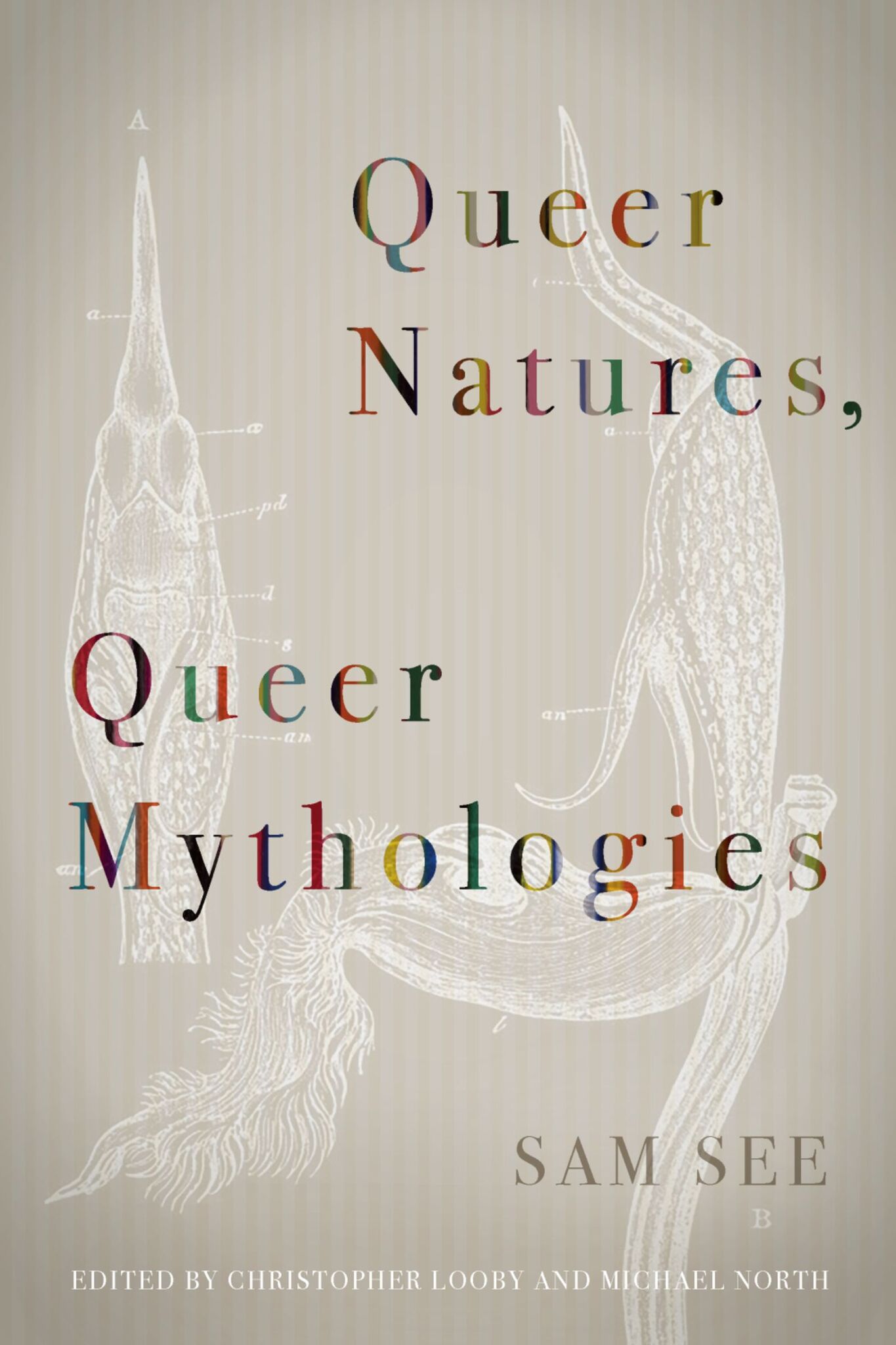 Cover image for Queer Natures, Queer Mythologies ISBN 9780823286980