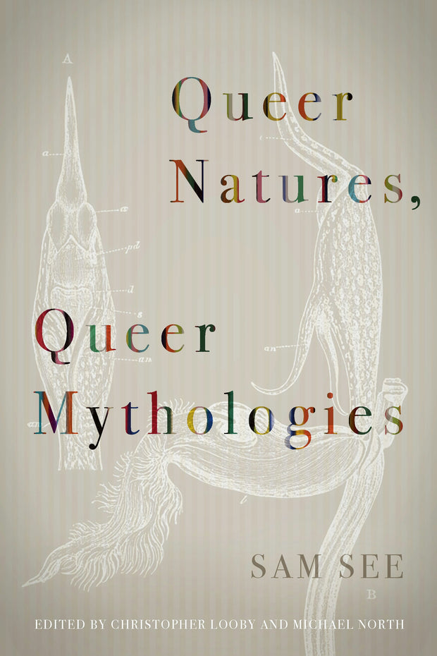 Cover image for Queer Natures, Queer Mythologies, isbn: 9780823286997