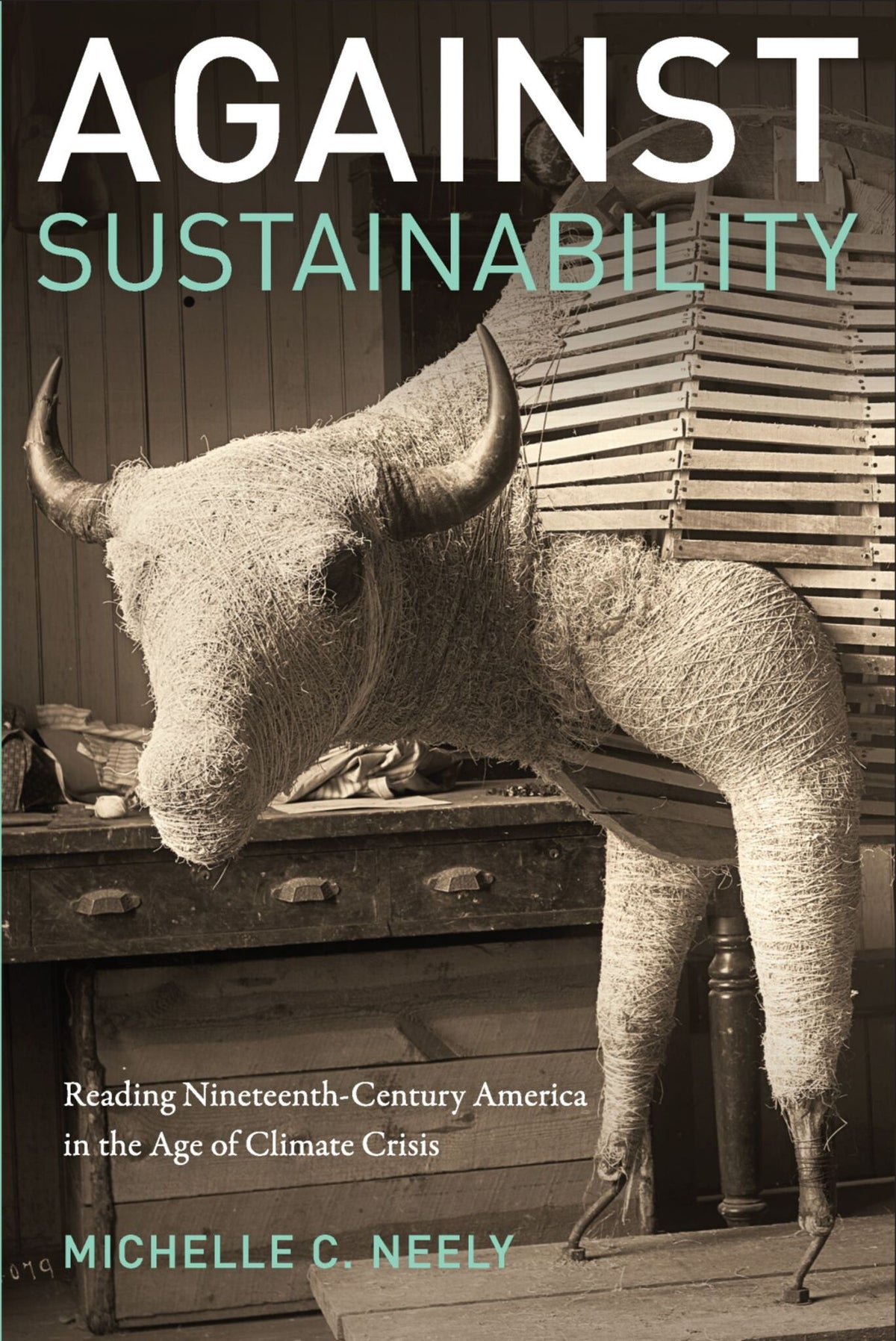 Cover image for Against Sustainability ISBN 9780823288229