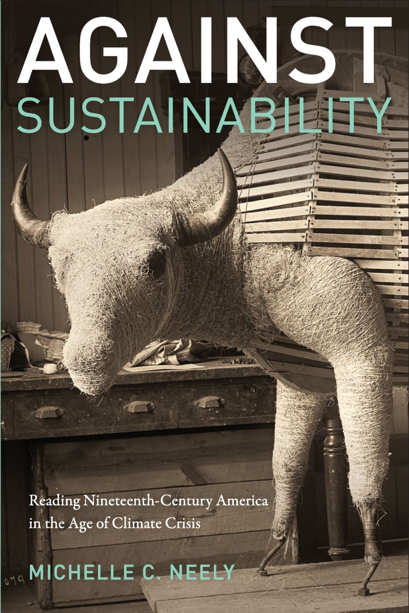 Cover image for Against Sustainability ISBN 9780823288229