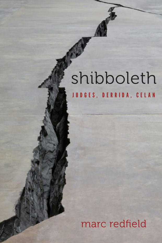 Cover image for Shibboleth, isbn: 9780823289073