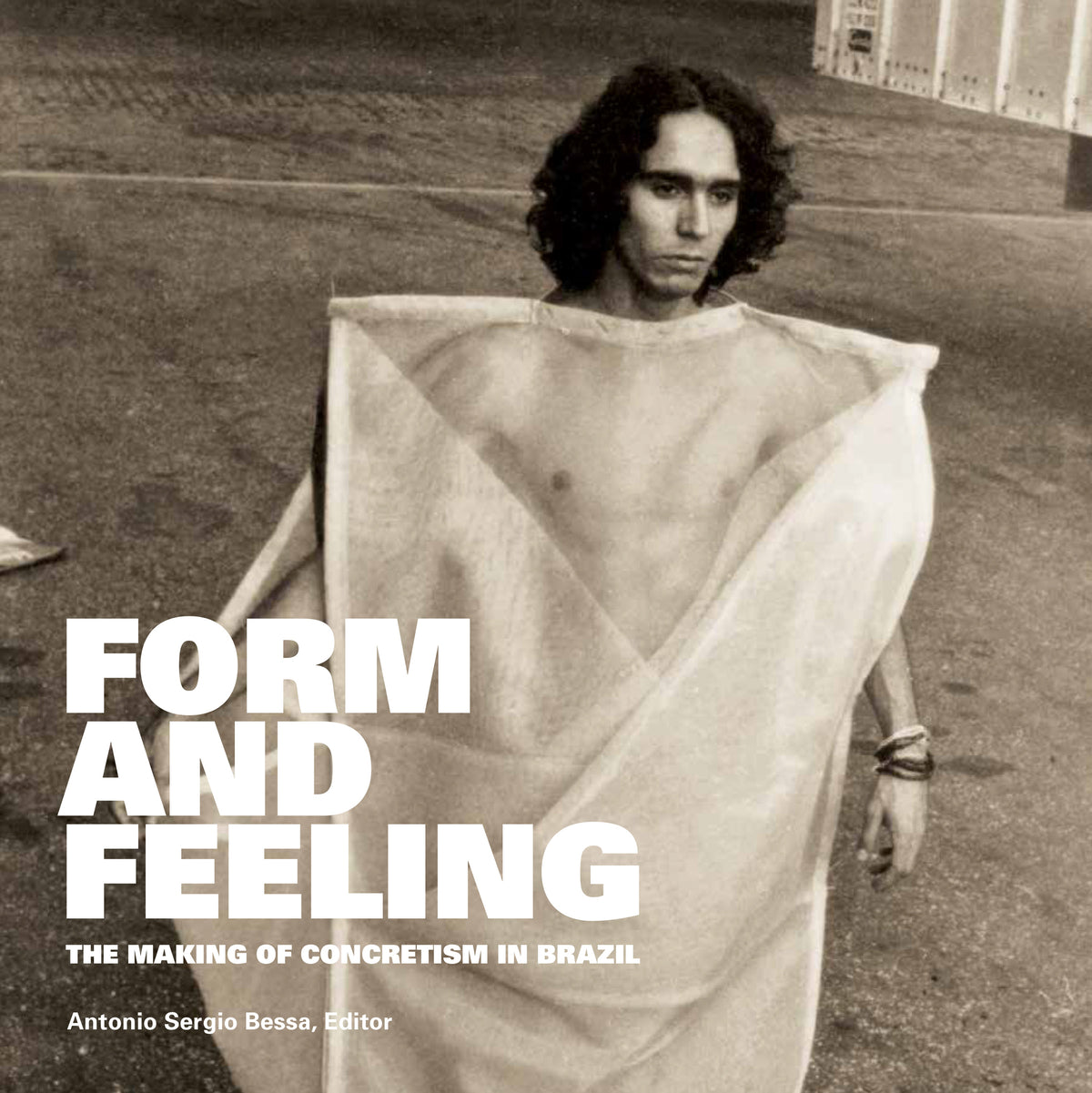Cover image for Form and Feeling ISBN 9780823289110