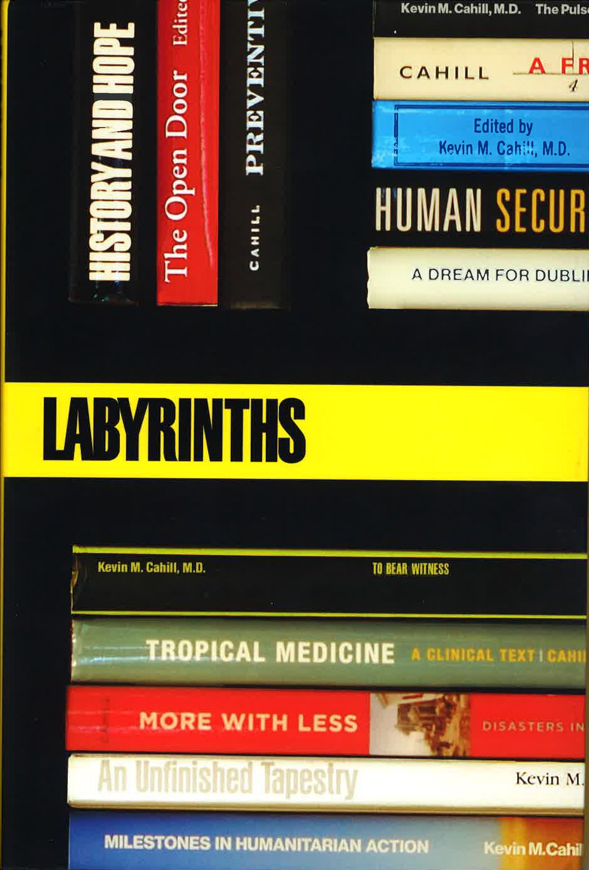 Cover image for Labyrinths ISBN 9780823293650