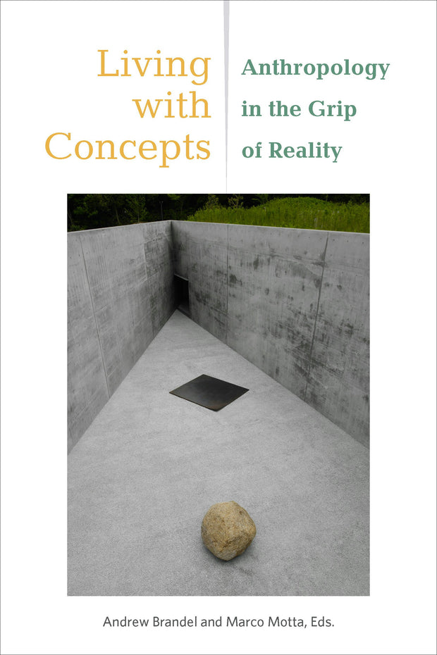 Cover image for Living with Concepts, isbn: 9780823294275