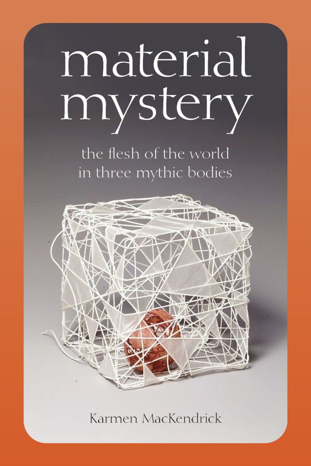Cover image for Material Mystery ISBN 9780823294541