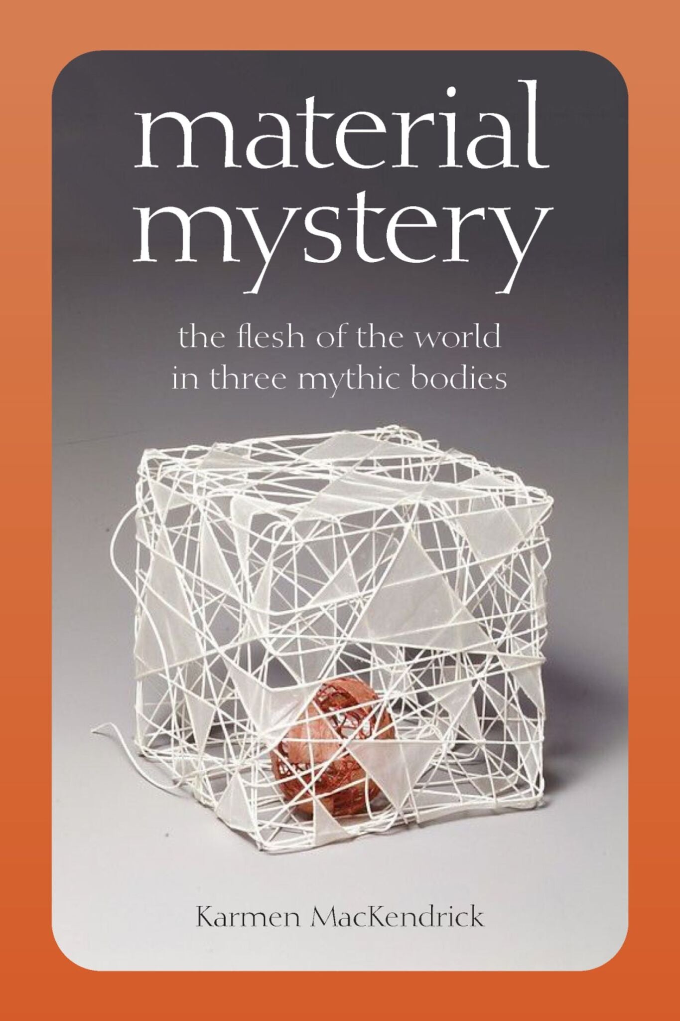Cover image for Material Mystery ISBN 9780823294541