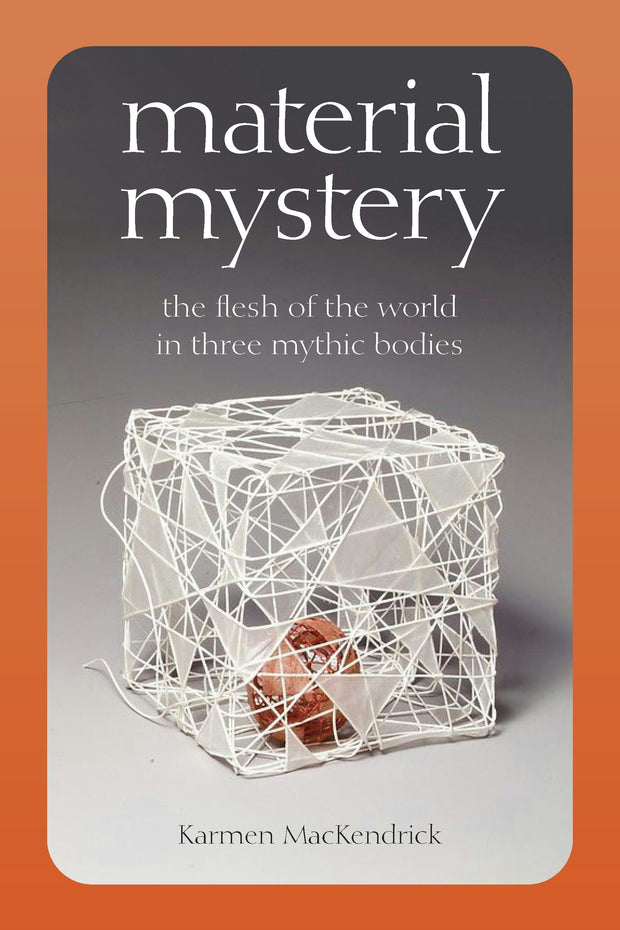 Cover image for Material Mystery, isbn: 9780823294541
