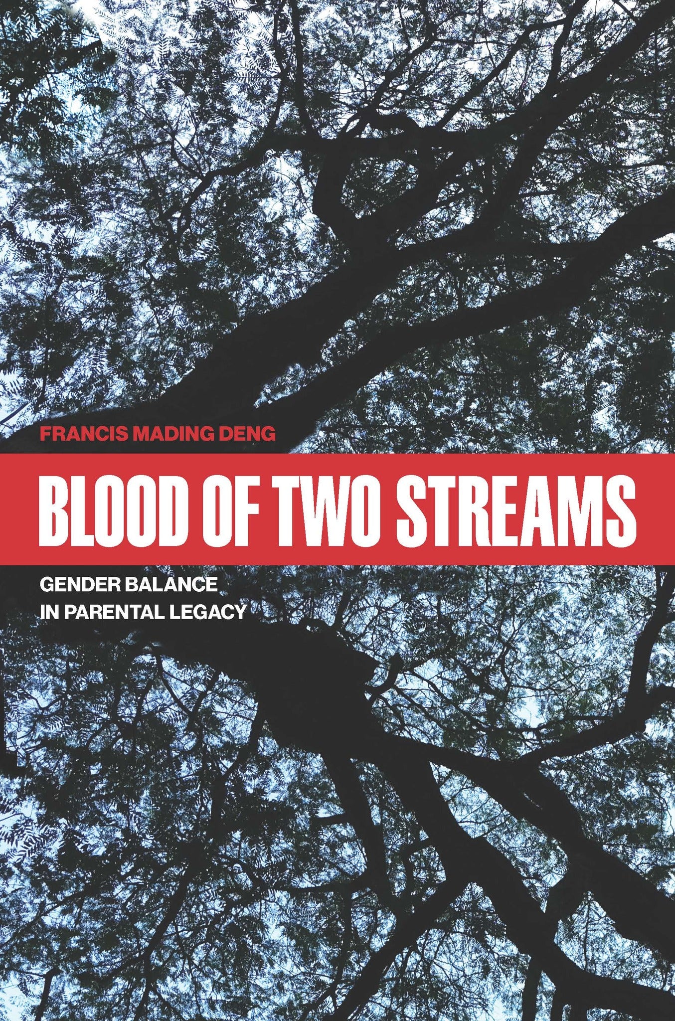 Cover image for Blood of Two Streams ISBN 9780823297627