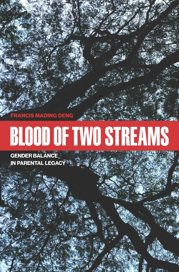 Cover image for Blood of Two Streams, isbn: 9780823297627