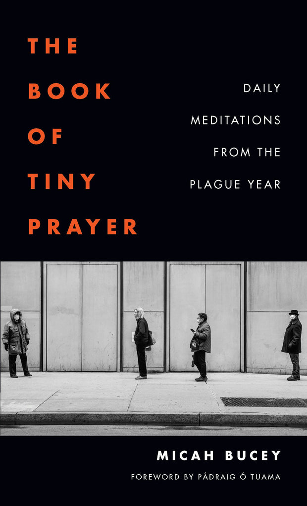Cover image for The Book of Tiny Prayer, isbn: 9780823299225