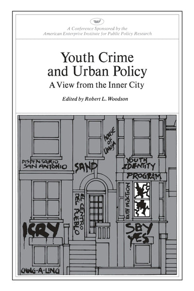 Cover image for Youth Crime and Urban Policy: A View from the Inner City, isbn: 9780844722108