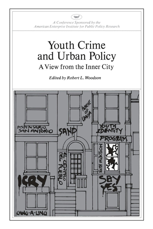 Cover image for Youth Crime and Urban Policy: A View from the Inner City, isbn: 9780844722108
