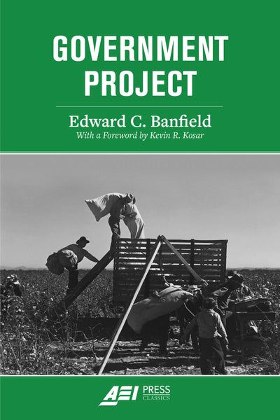 Cover image for Government Project, isbn: 9780844750644