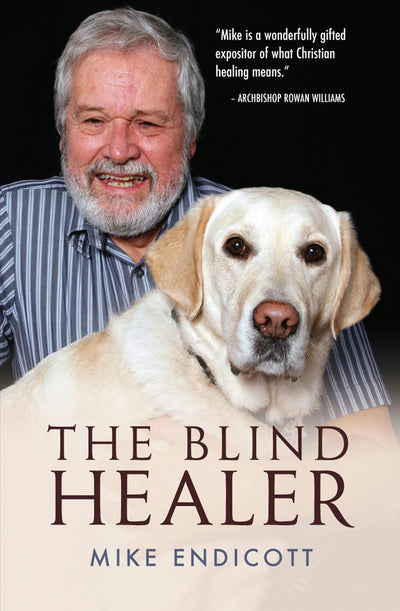 Cover image for The Blind Healer, isbn: 9780857211873
