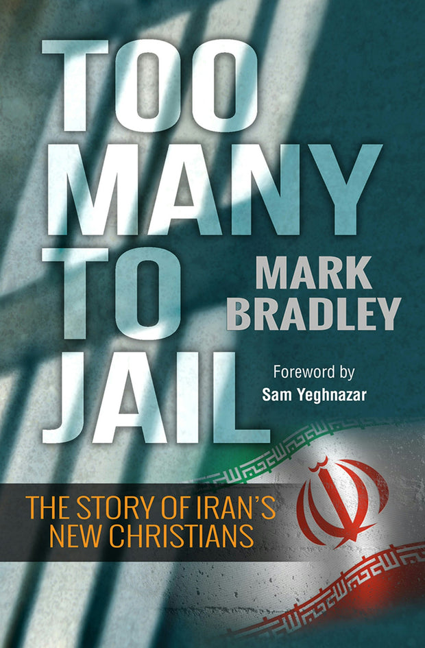 Cover image for Too Many to Jail, isbn: 9780857215970
