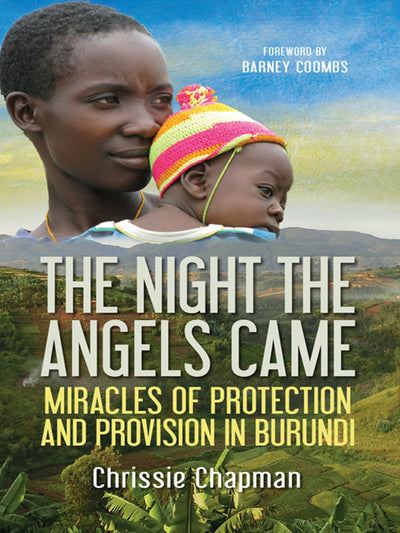 Cover image for The Night the Angels Came, isbn: 9780857217233