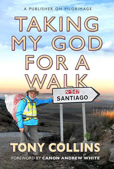 Cover image for Taking My God for a Walk, isbn: 9780857217738