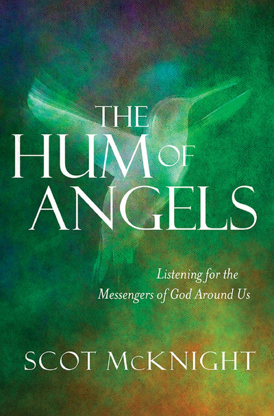 Cover image for The Hum of Angels, isbn: 9780857218605