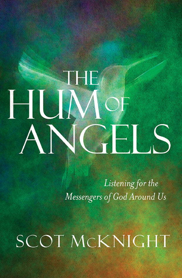 Cover image for The Hum of Angels, isbn: 9780857218605