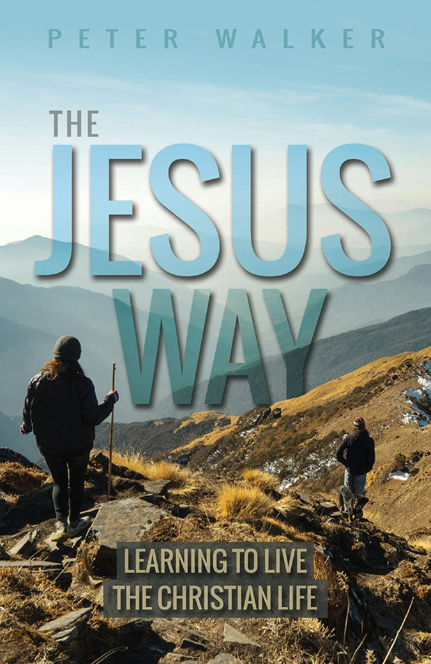 Cover image for The Jesus Way, isbn: 9780857219619