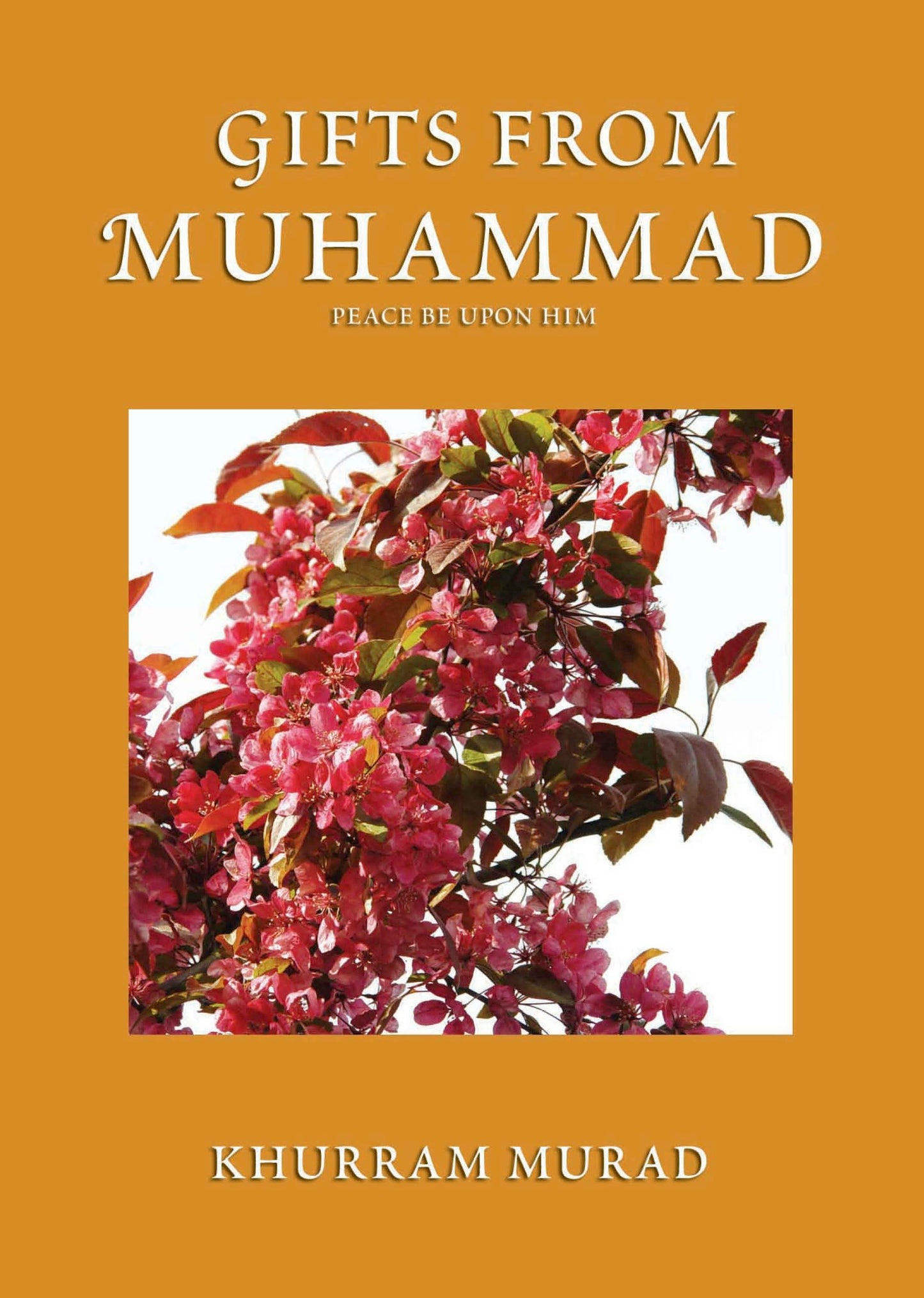 Book cover image for Gifts from Muhammad ISBN: 9780860372738