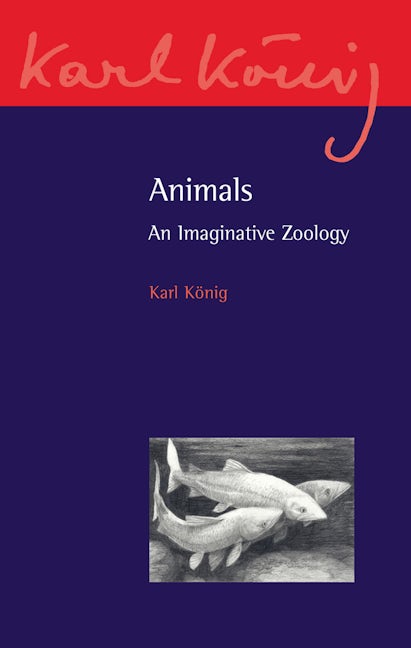 Book cover image for Animals ISBN: 9780863159664