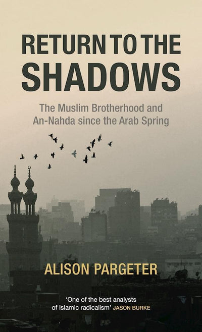 Cover image for Return to the Shadows, isbn: 9780863561443