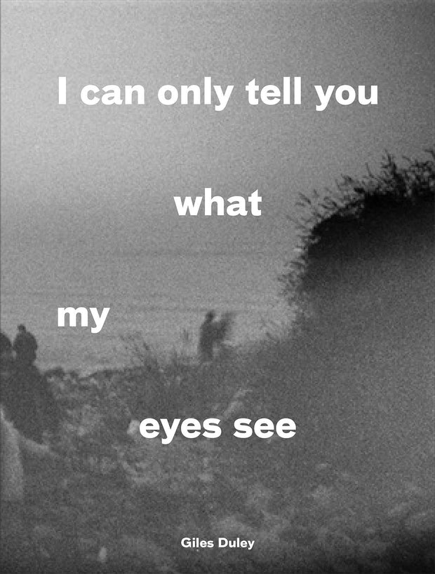 Cover image for I Can Only Tell You What My Eyes See, isbn: 9780863561795