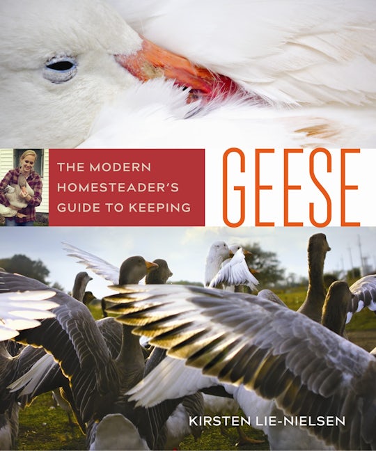 Book cover image for The Modern Homesteader's Guide to Keeping Geese ISBN: 9780865718616