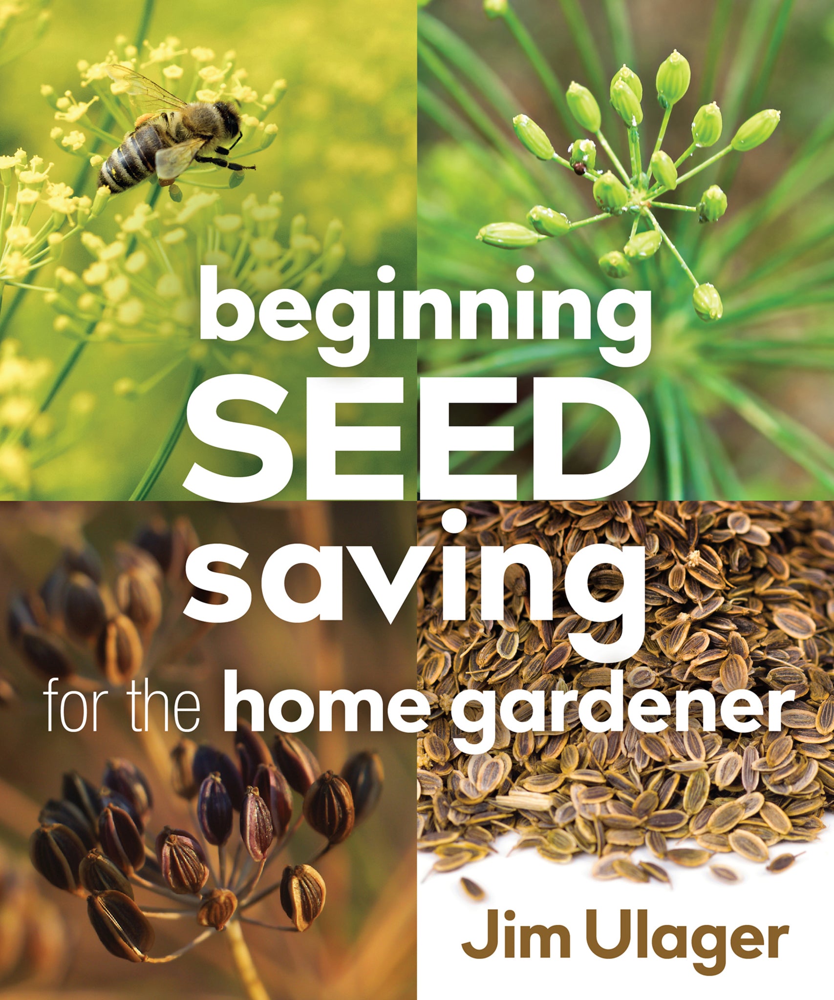 Cover image for Beginning Seed Saving for the Home Gardener ISBN 9780865719262