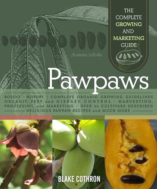 Book cover image for Pawpaws ISBN: 9780865719552