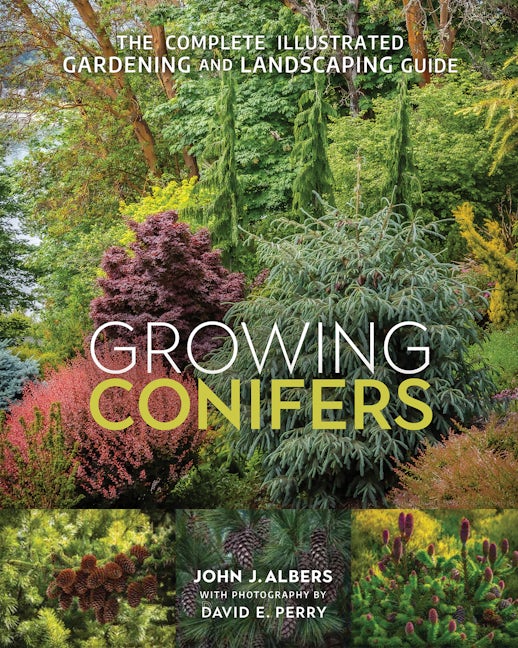 Book cover image for Growing Conifers ISBN: 9780865719569