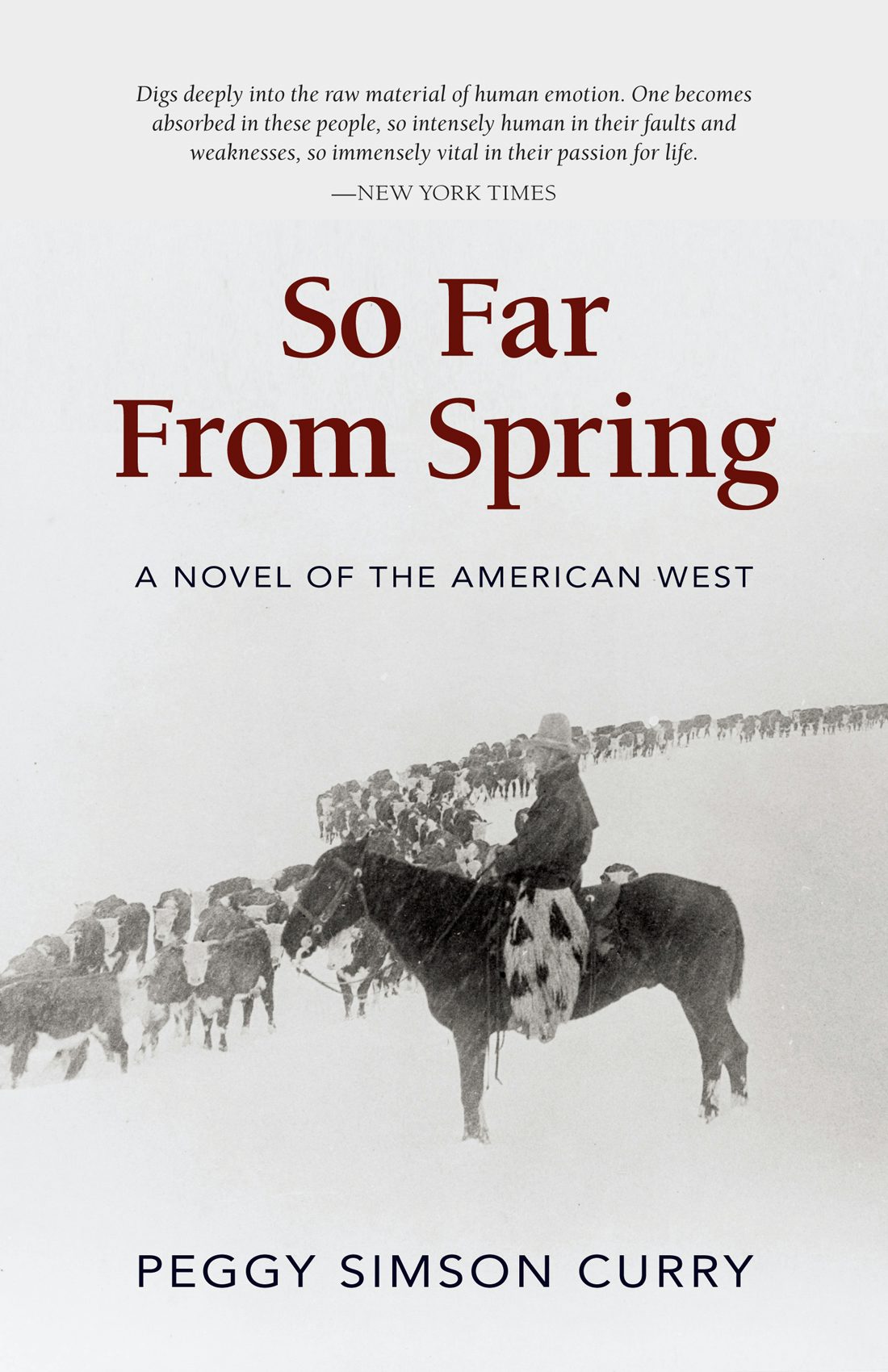 Book cover image for So Far from Spring ISBN: 9780871083227
