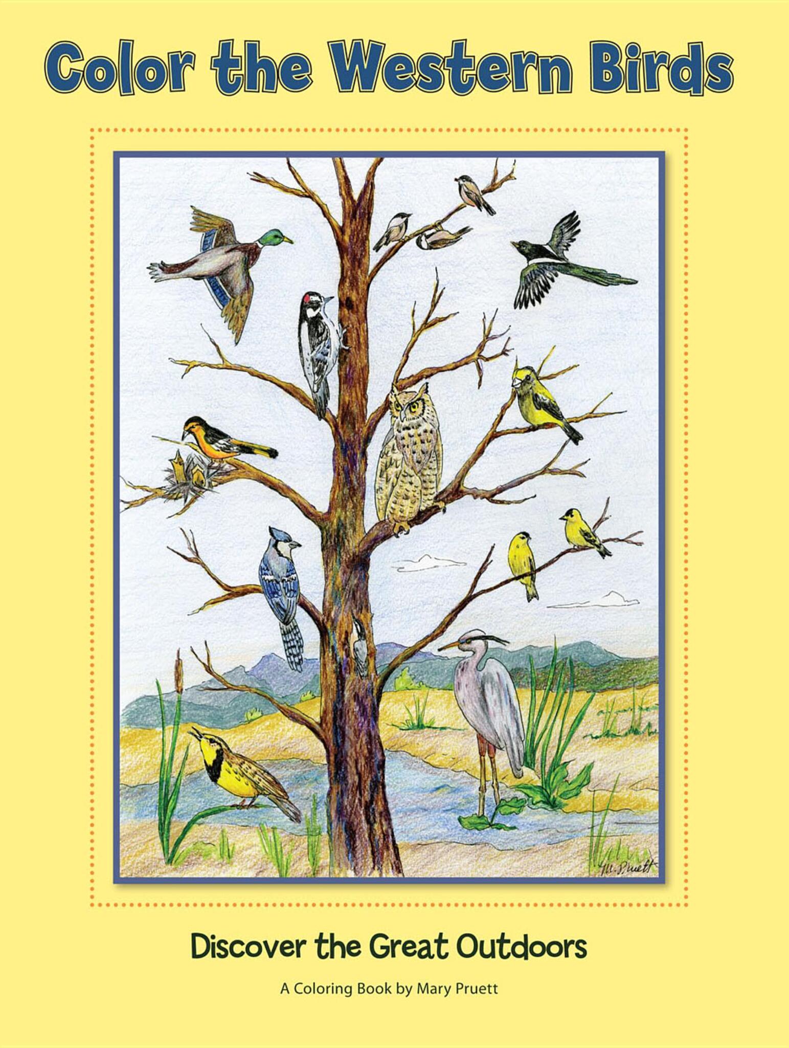 Cover image for Color the Western Birds ISBN 9780871089571