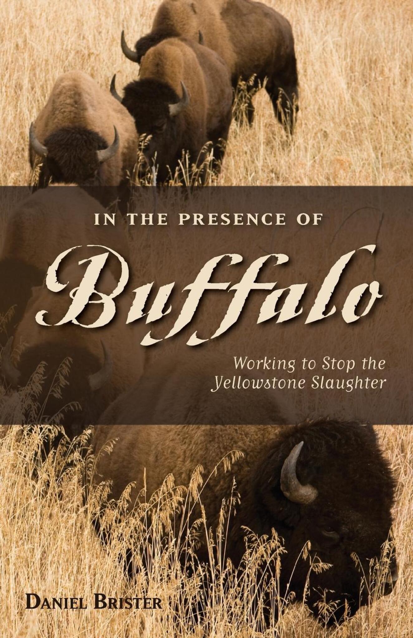 Cover image for In the Presence of Buffalo ISBN 9780871089786