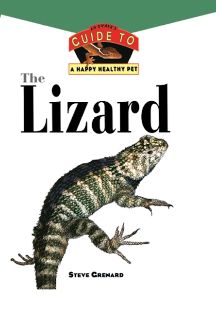 Book cover image for The Lizard ISBN: 9780876054291