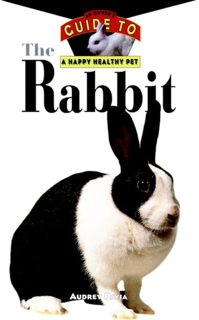 Book cover image for The Rabbit ISBN: 9780876054895