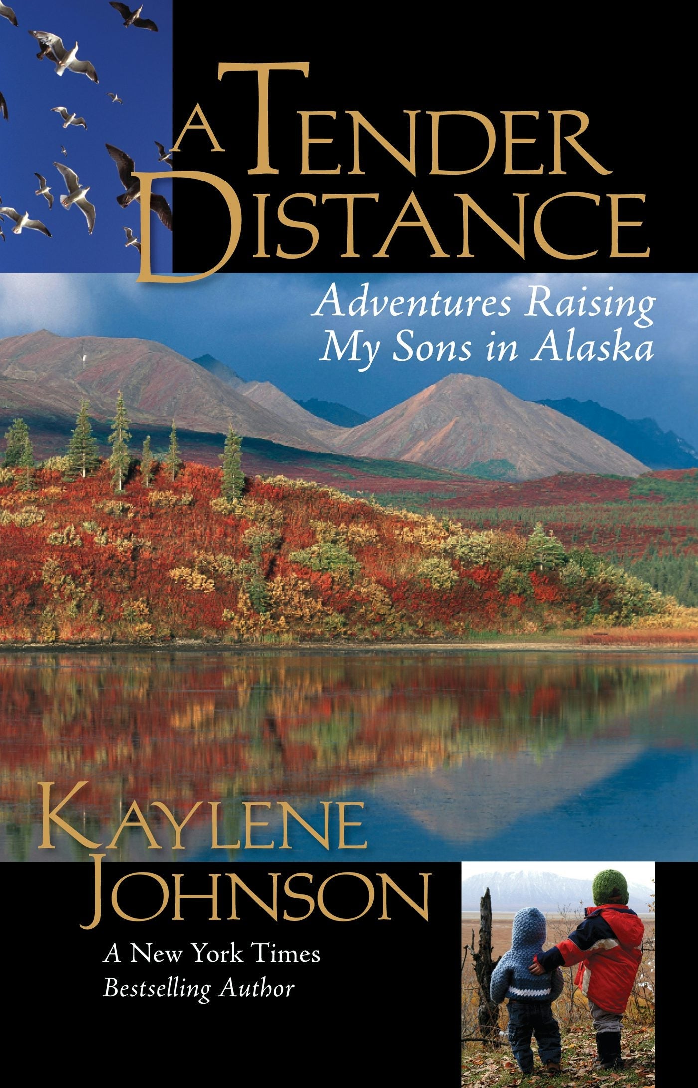 Book cover image for A Tender Distance ISBN: 9780882407722