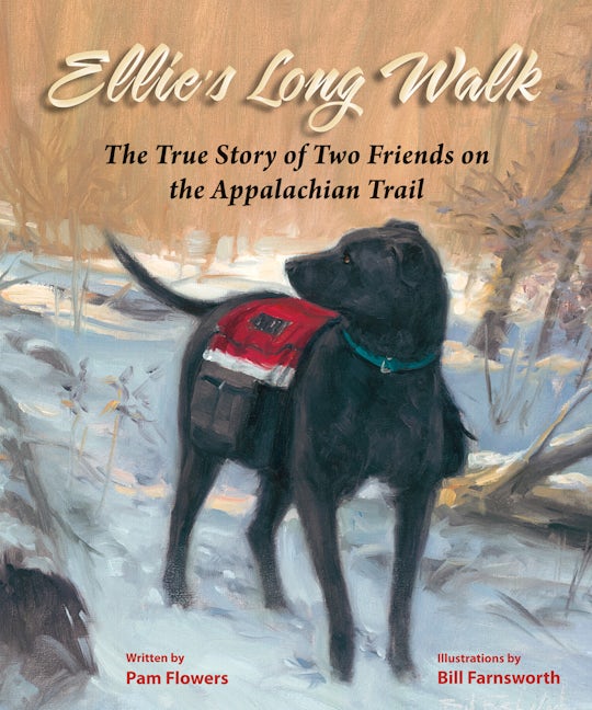 Book cover image for Ellie's Long Walk ISBN: 9780882408859